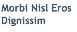 Morbi Nisl Eros
Dignissim