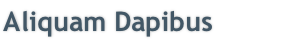 Aliquam Dapibus